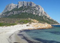 Spiaggia di Spalmatore Isola Tavolara.jpg