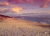 Spiaggia del Parco Costiero della Sterpaia