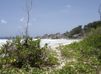 Spiaggia Grand Anse di la Digue