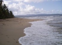 Matura Beach di Trinidad