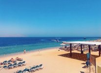 Shark's Bay Sharm.jpg