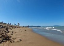 Dog beach di San Vincenzo.jpg