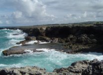 Grotta dei Fiori Animati di Barbados
