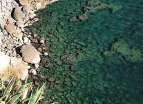 Spiaggia Le Pietrine Monte Argentario