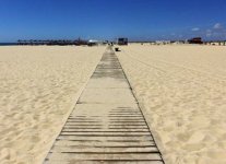 Spiaggia dell'isola di Tavira.jpg