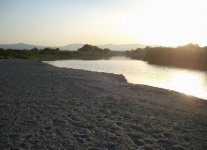 Spiaggia del Bosco Pantano di Policoro