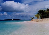 Palm Island e Casuarine Beach