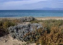 Spiaggia Almyros di Corfù