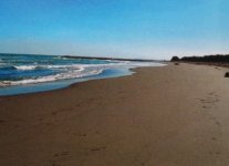 Spiaggia di Pellestrina.jpg