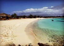 Spiaggia Rodgers Beach di Aruba.jpg