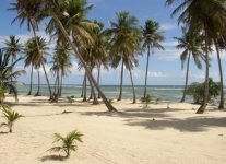 Plage de Bois Jolan di Guadalupa