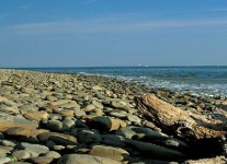 Spiagge del Parco Monte San Bartolo