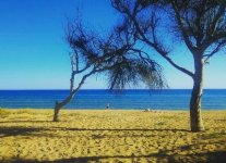 Spiaggia della Riserva del Belice