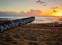 Indicators Beach di Porto Rico.jpg