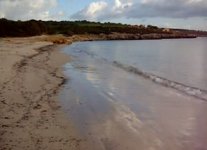 Spiaggia del Lazzaretto di Alghero.jpg