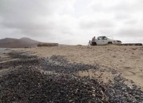 Spiaggia Baia das Gatas di Boavista.jpg