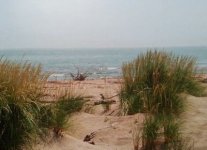 Spiaggia di Scano del Gallo.jpg