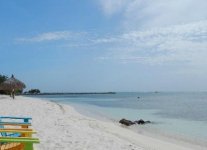 spiaggia palm beach aruba.jpg