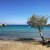 Spiaggia Ampela di Syros.jpg
