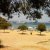 Spiaggia Zogeria di Spetses.jpg