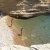 Spiaggia Monodendri di Lipsi.jpg