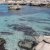 Spiaggia Calamoni Favignana.jpg