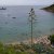 Spiaggia delle Cannelle Isola del Giglio