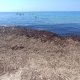 Spiaggia Calanca di Marina di Camerota